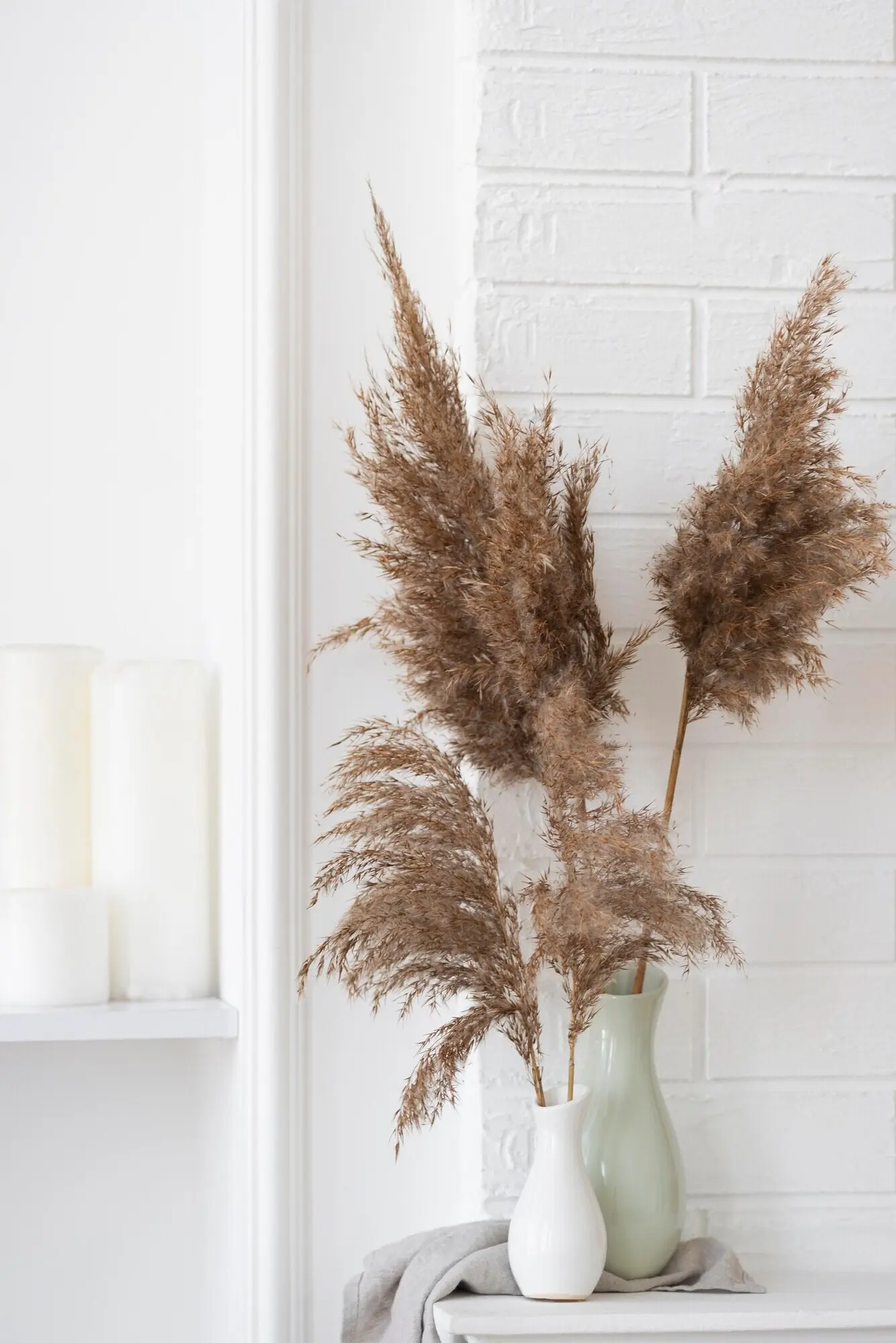 Zimmerpflanze im Vasen-Dekorationsarrangement